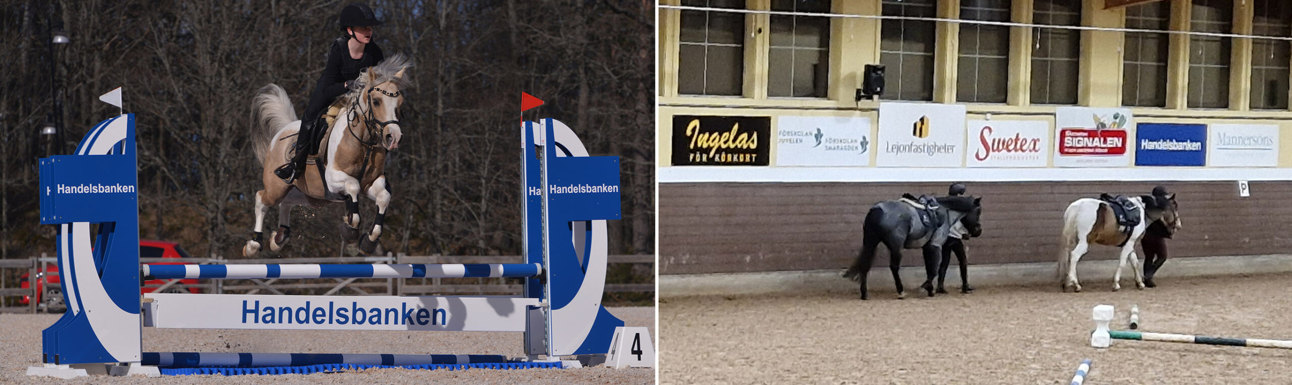 Skäck hoppar över handlesbankenhinder - hästar leds framför skyltvägg på Smedstad Ridsportcenter.