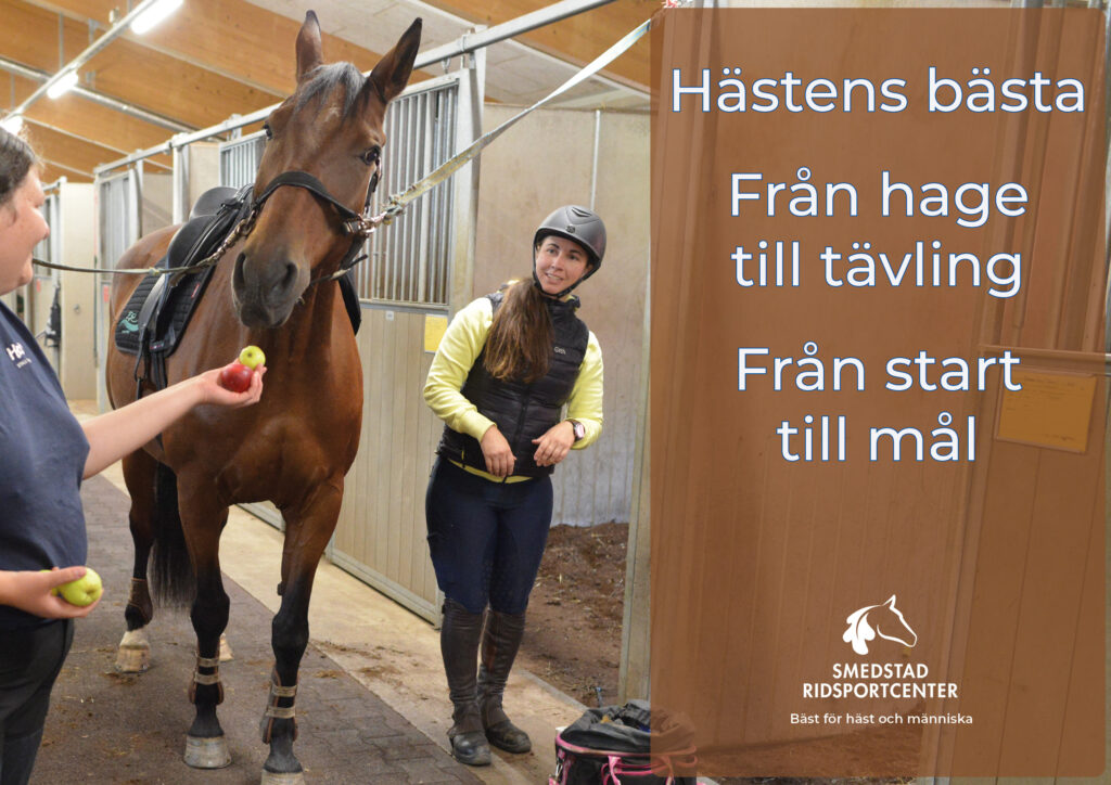 Häsr frå äpple i stallgång på Smedstad Ridsportcenter. Text på bild Hästens bästa Från hage till tävling Från start till mål